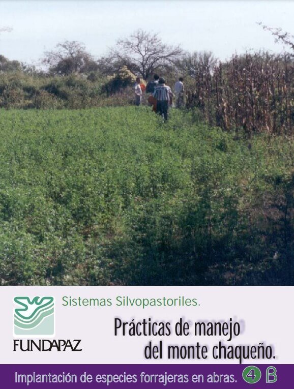 Sistemas Silvopastoriles, prácticas de manejo del monte chaqueño.
Implantación de especies forrajeras en abras.