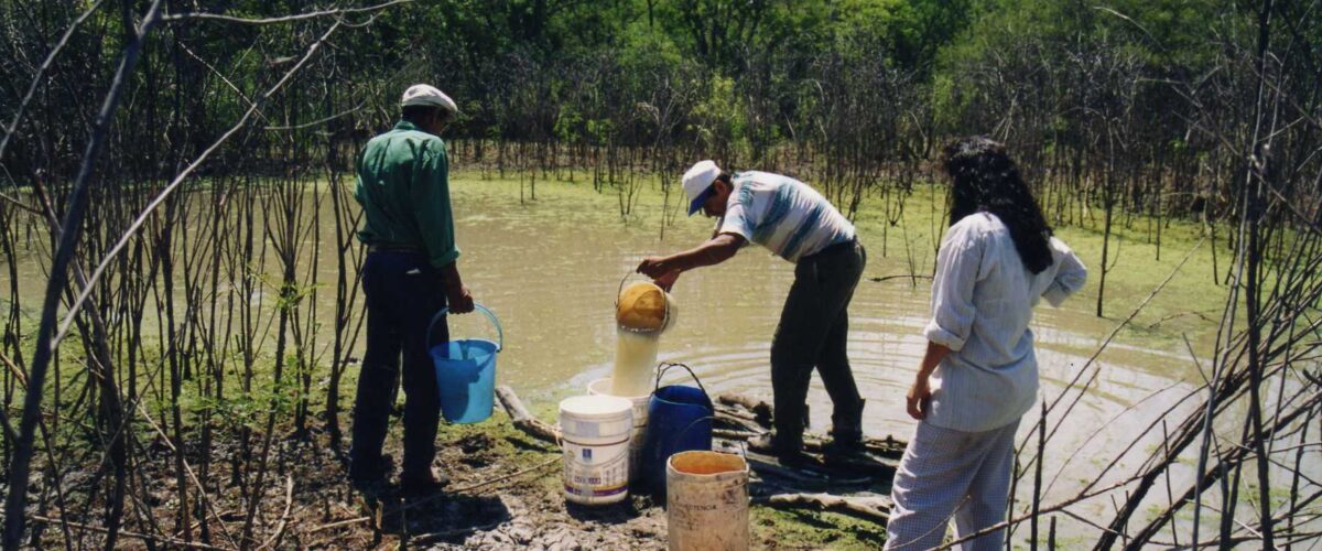El Chaco Americano 4 El Chaco Americano 4