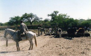 Manejo De Agua Y Bosque 15