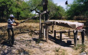 Manejo De Agua Y Bosque 8