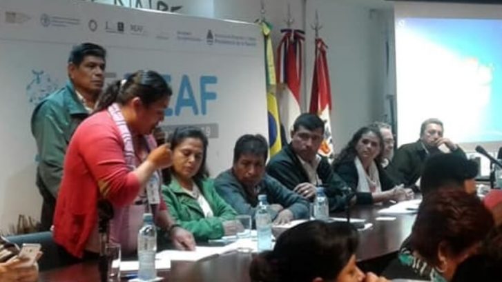 participación en REAF1 - copia