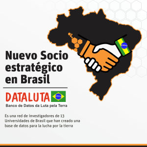 DataLUTA