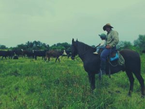 Hombre a caballo con nene