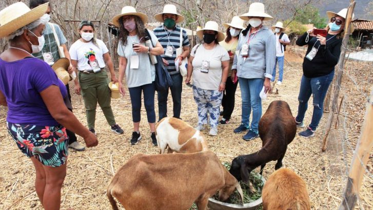 Intercambio mujer animales grupo