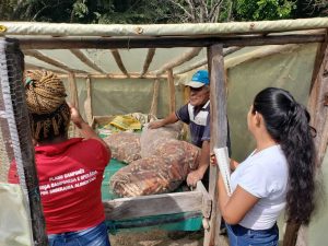 chicas alimentos