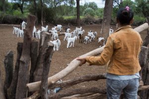 mujer cabras