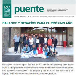 Destacada puente 113