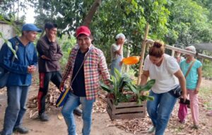 plantines Oran