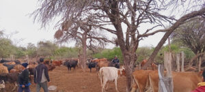 Mujer Pilcomayo