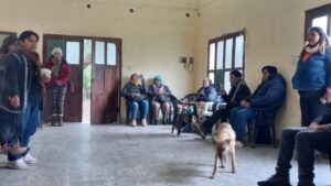 vinalito inicio