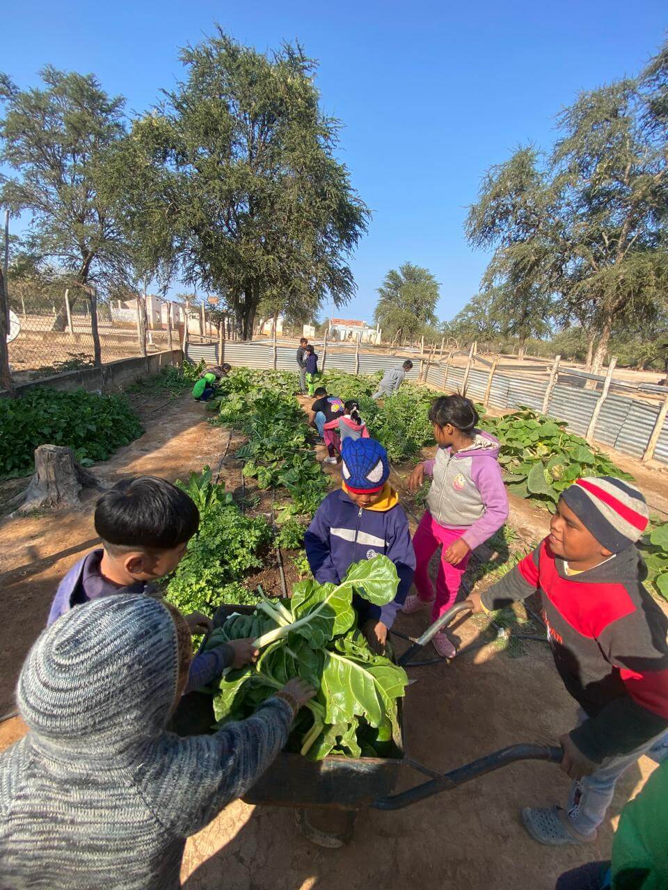 Huerta Pozo la China