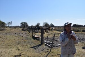 mujer vacas Santa Fe
