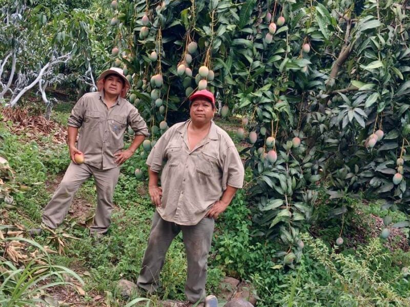 FUNDAPAZ-Caso destacado Actividades agropecuarias - Foto 1 FUNDAPAZ-Caso destacado Actividades agropecuarias - Foto 1