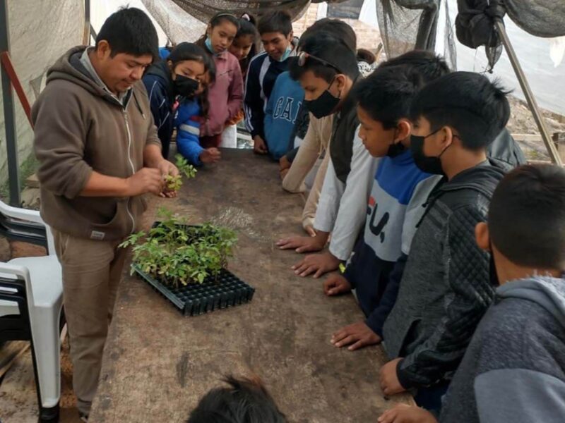 FUNDAPAZ-Caso destacado Actividades agropecuarias - Foto 2 FUNDAPAZ-Caso destacado Actividades agropecuarias - Foto 2