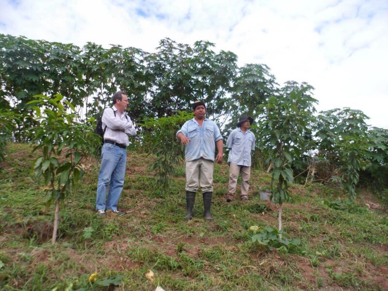 FUNDAPAZ-Caso destacado Actividades agropecuarias - Foto 3 FUNDAPAZ-Caso destacado Actividades agropecuarias - Foto 3