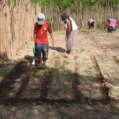 FUNDAPAZ-Huerta 5 FUNDAPAZ-Huerta 5