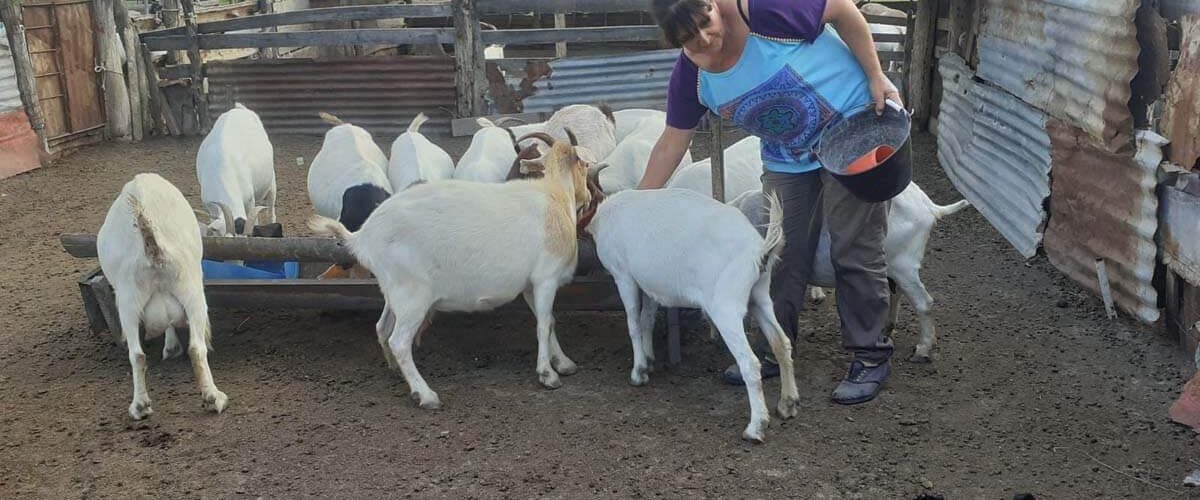 FUNDAPAZ-Intercambio Unión y Progreso y UOCB 2 FUNDAPAZ-Intercambio Unión y Progreso y UOCB 2