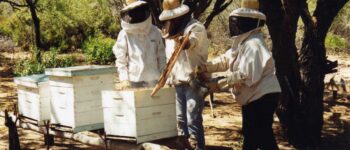 FUNDAPAZ-SAN_API_1027 FUNDAPAZ-SAN_API_1027