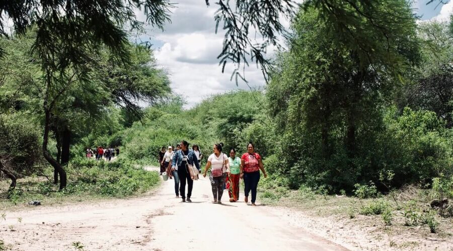 Legado solidario (Apoyanos) Legado solidario (Apoyanos)